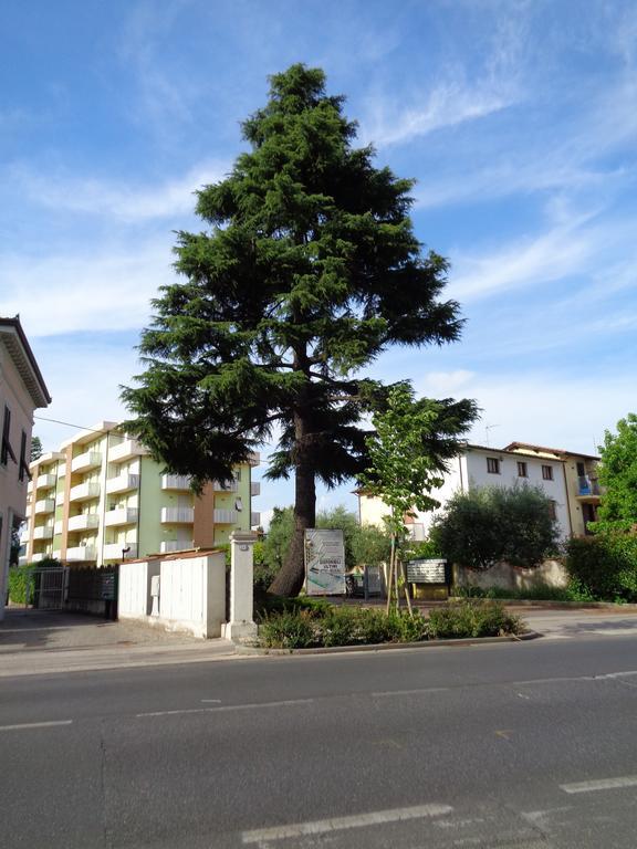 Liz Beth Apartment Lucca Ruang foto